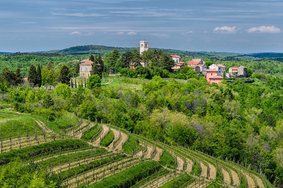 Selbstgeführte Wandertour Aromen von Istrien