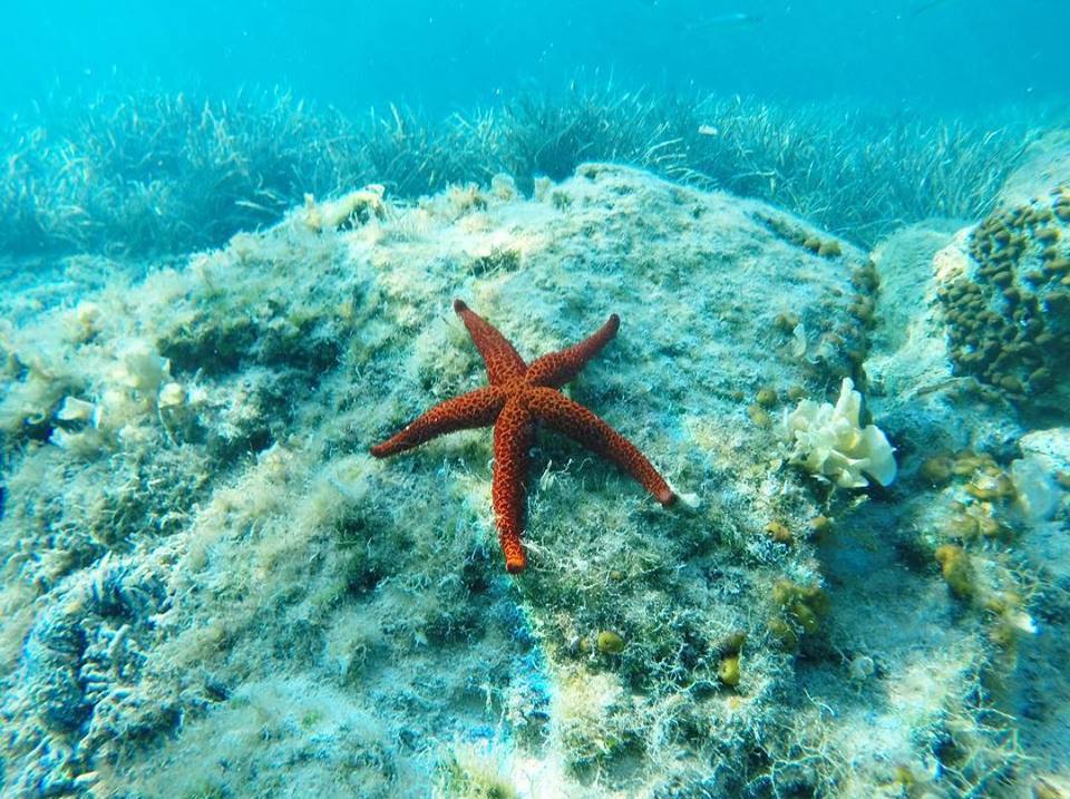 Segelabenteuer von Hvar nach Dubrovnik mit 4 Übernachtungen