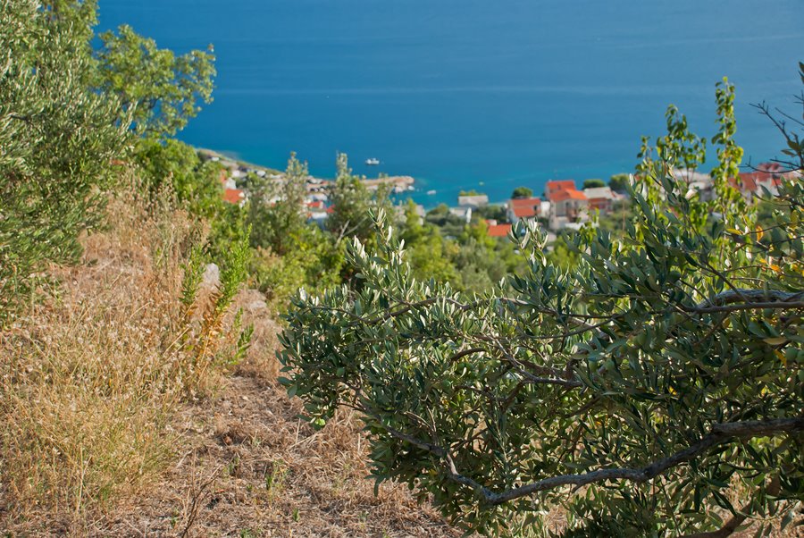 Kroatien - Dalmatiens Höhepunkte erwandern - geführte kleine Gruppe