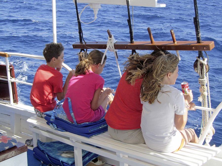 Baderoute Inselhüpfen Kreuzfahrt ab Trogir mit NoName Premium Schiff***