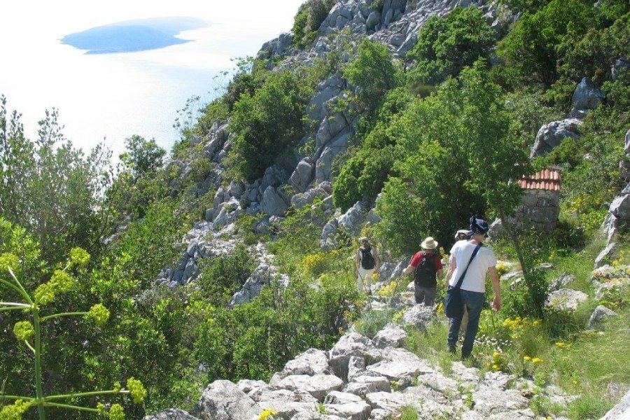 Standortreise Kultur und Wandern in Dalmatien