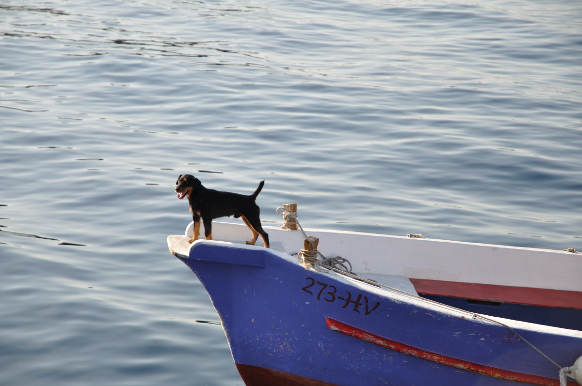 Erlebnis Kreuzfahrt ab Trogir mit MS Mirabela***