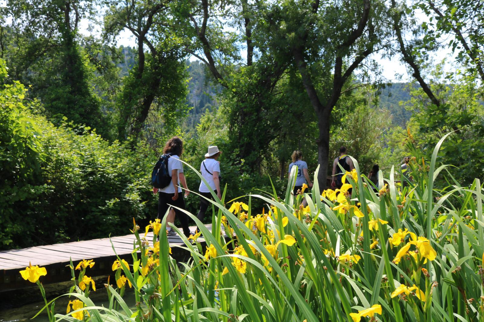 Wandern durch Kroatiens Nationalparks-geführt