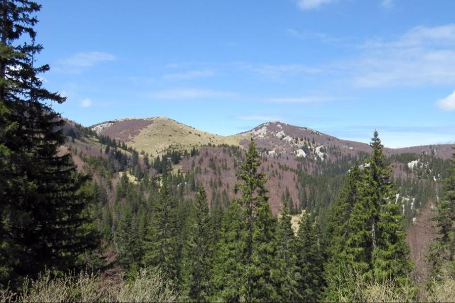 Wandern an Kroatiens Küste und Schluchten-geführt